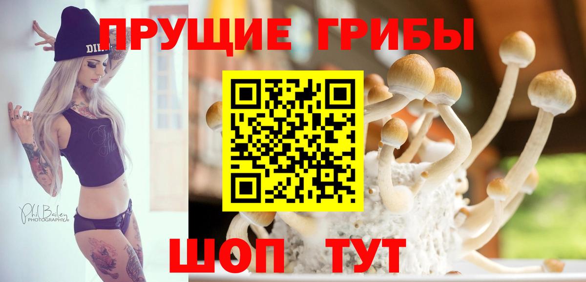 Псилоцибиновые грибы Cubensis Лянтор